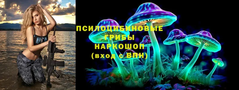 где купить   Северск  Галлюциногенные грибы MAGIC MUSHROOMS 